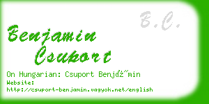 benjamin csuport business card